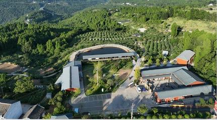 聚會(huì)、團(tuán)建、散心，來這里就對咯！——星級公園觀光服務(wù)全體驗(yàn)